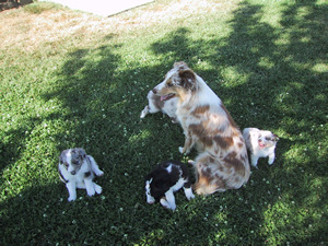 The babysitter...